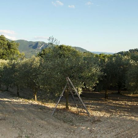 Mas Provencal La Serallere Au Coeur Des Oliviers Venterol  Exteriör bild