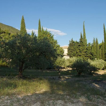 Mas Provencal La Serallere Au Coeur Des Oliviers Venterol  Exteriör bild