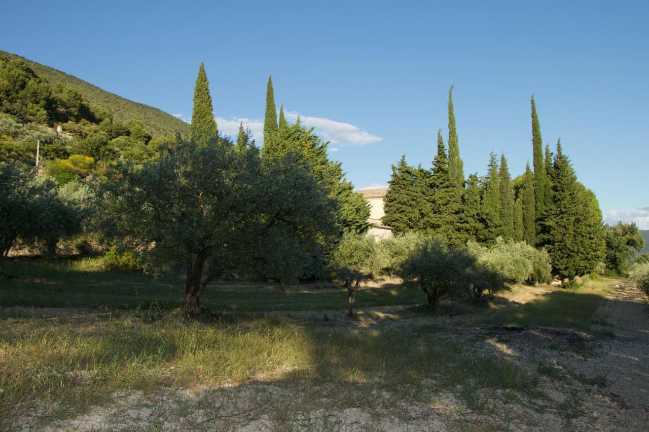 Mas Provencal La Serallere Au Coeur Des Oliviers Venterol  Exteriör bild