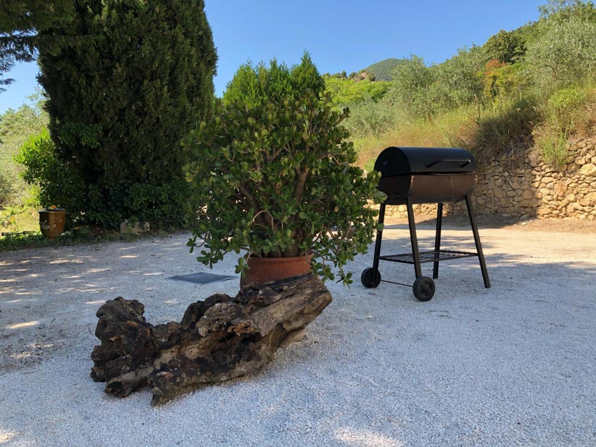 Mas Provencal La Serallere Au Coeur Des Oliviers Venterol  Exteriör bild
